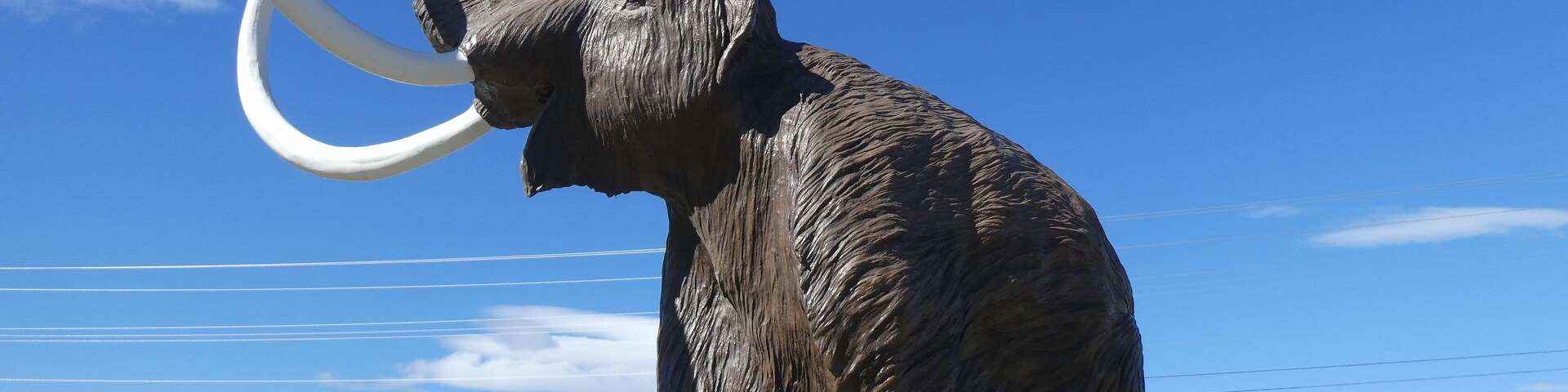 The Yukon Beringia Interpretive Center is a must if you are in Whitehorse, YT. So many interesting skeletal remains from the ice age on display.