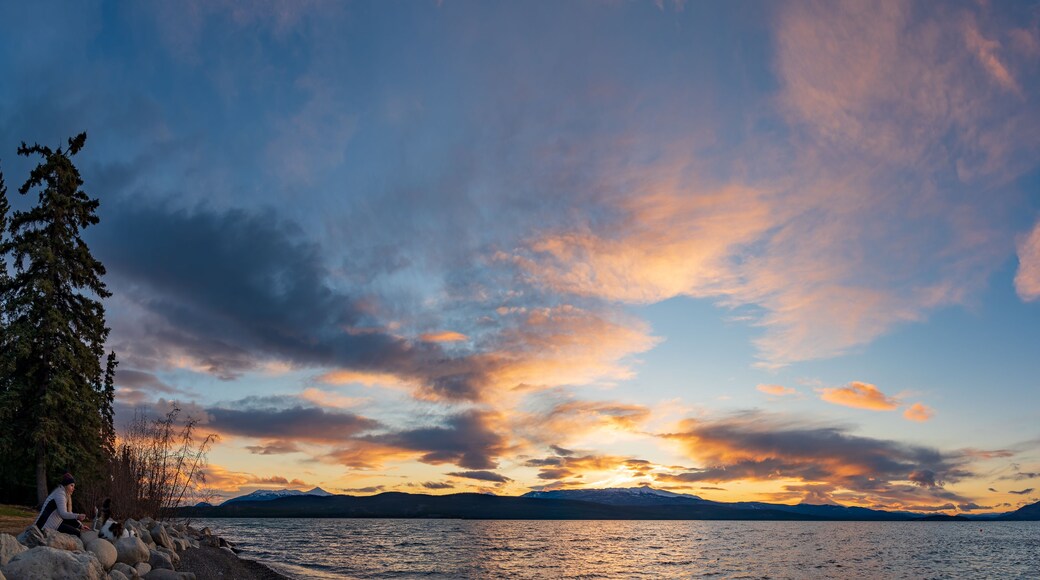 Canadian scenery at sunset with pink, purple hues and pastel colors with cloud moving across the sky. Large lake below and rocky lakeshore with tourist woman and pet cat.