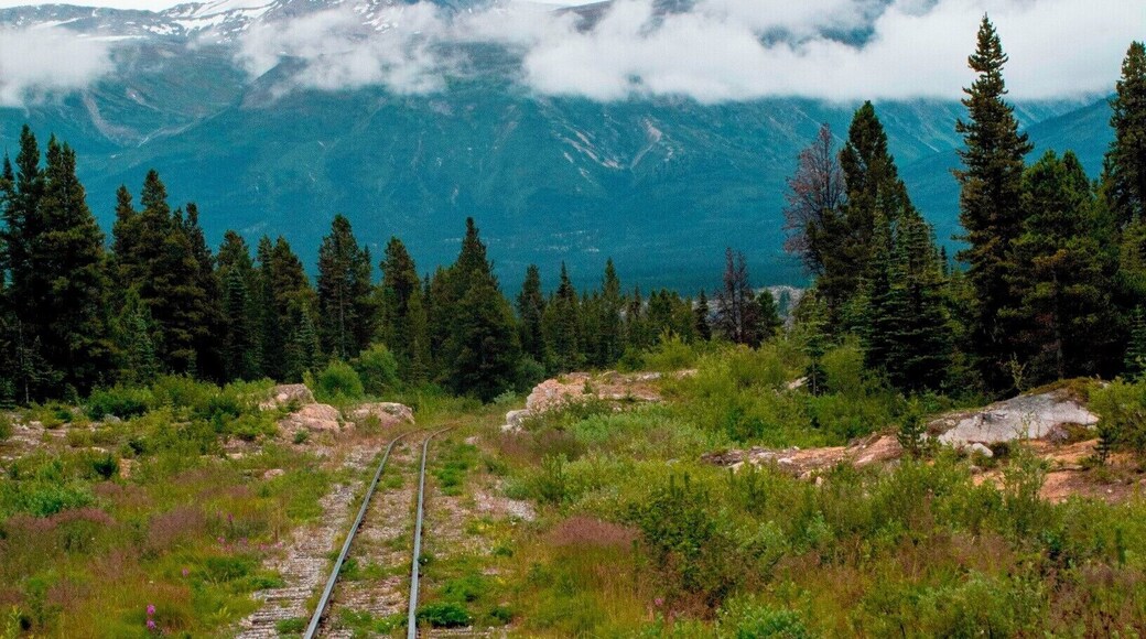 Along the White Pass and Yukon Route Railway, near Bennett, British Columbia, at about the halfway point between Skagway, Alaska, and Carcross, Yukon.