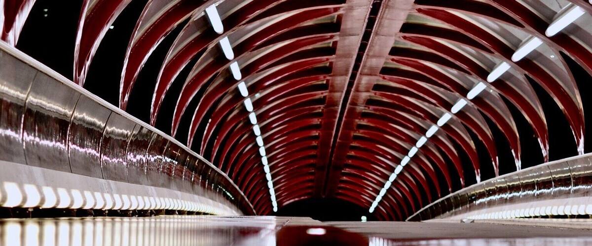 My favourite place for reflection provided me with a unique reflection.