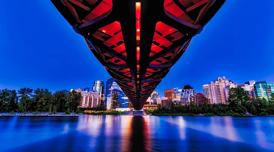 Twilight on the bridge