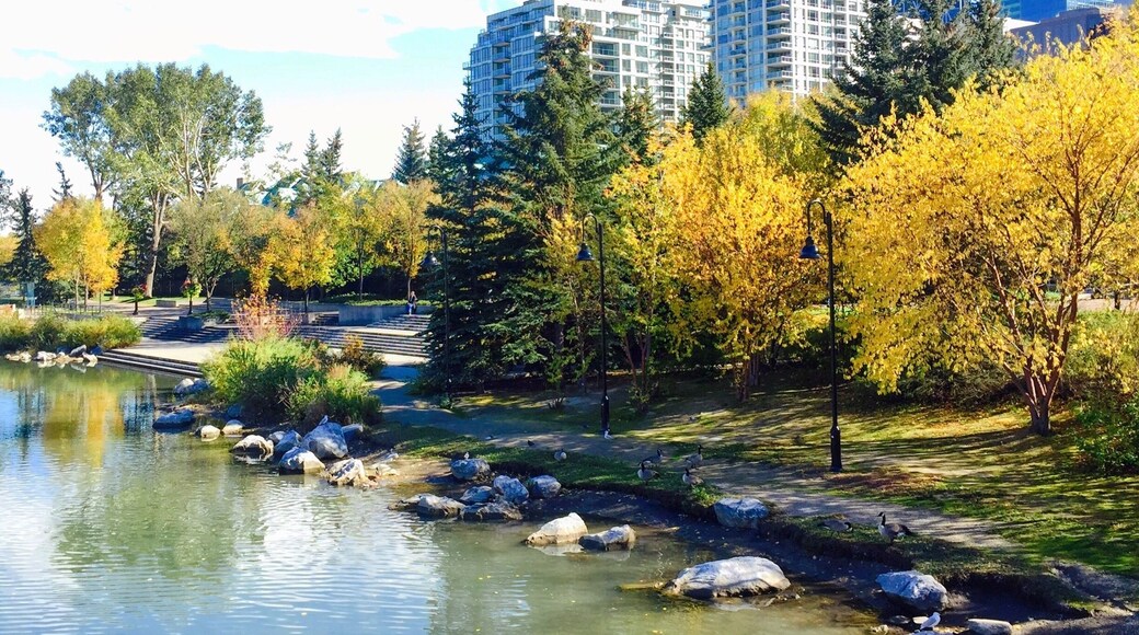 Prince's Island Park
Honestly, I think this is most beautiful place in Calgary