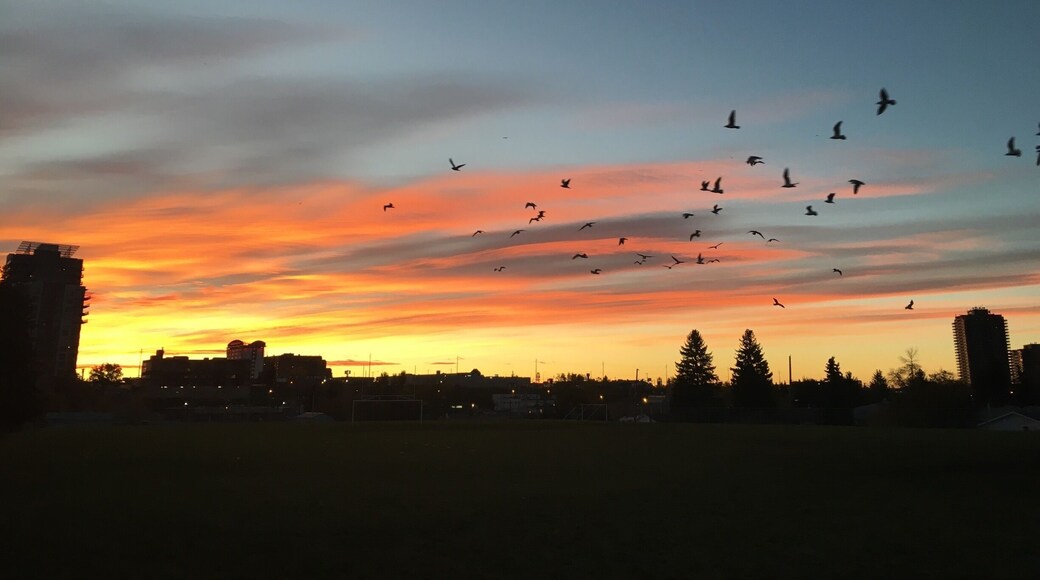 Mornings tell a different story.