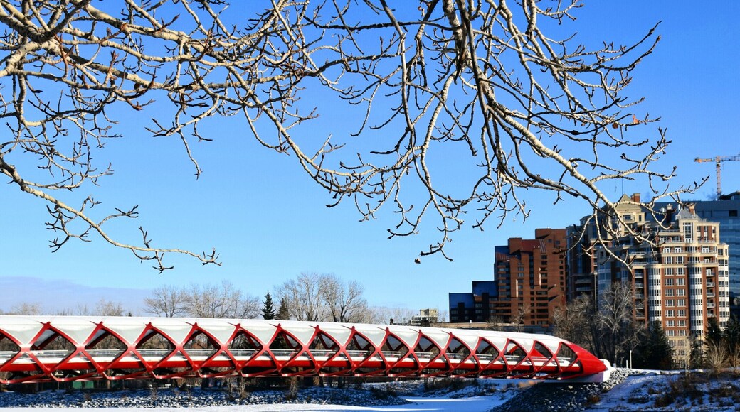 The Calgary Peace Bridge, over the Bow River, on one of the city's famous blue sky days.
#architecture