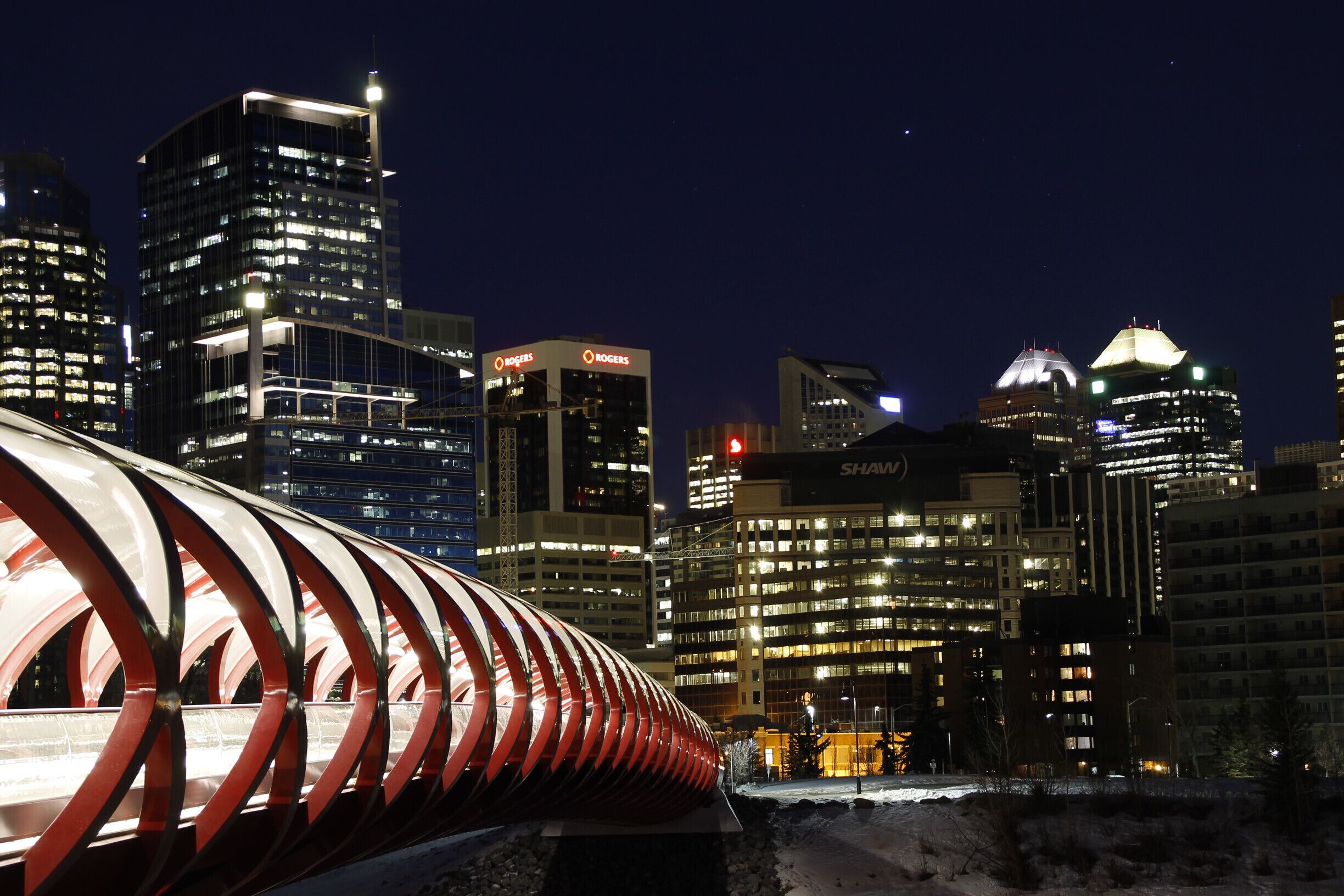 reminds me of a caterpillar