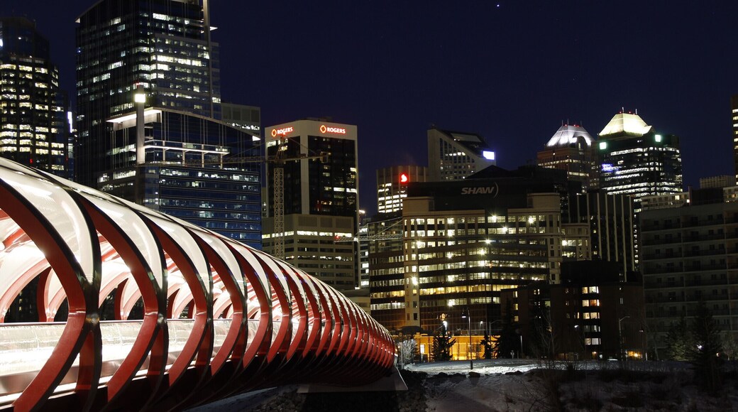 reminds me of a caterpillar