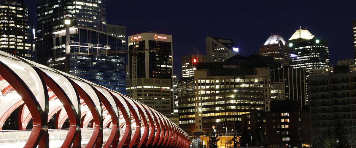 reminds me of a caterpillar