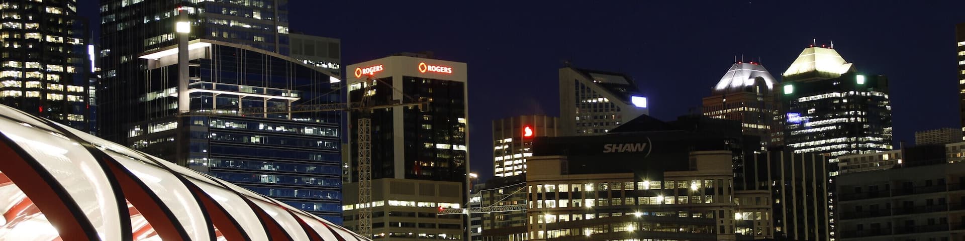 reminds me of a caterpillar