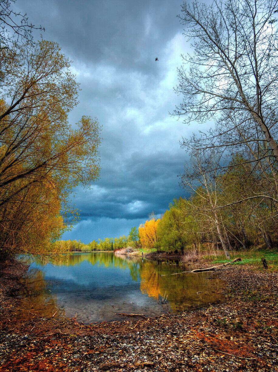 Beautiful Carburn Park with an approaching storm.

#storm #photography #photo #outdoor #weather #calgary #nature #landscape #pond #rain #clouds