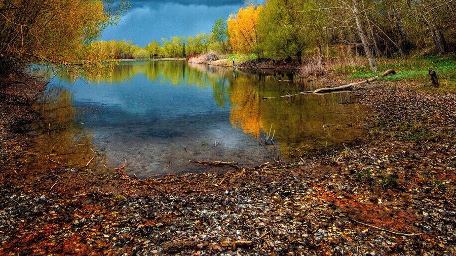 Beautiful Carburn Park with an approaching storm.
#storm #photography #photo #outdoor #weather #calgary #nature #landscape #pond #rain #clouds