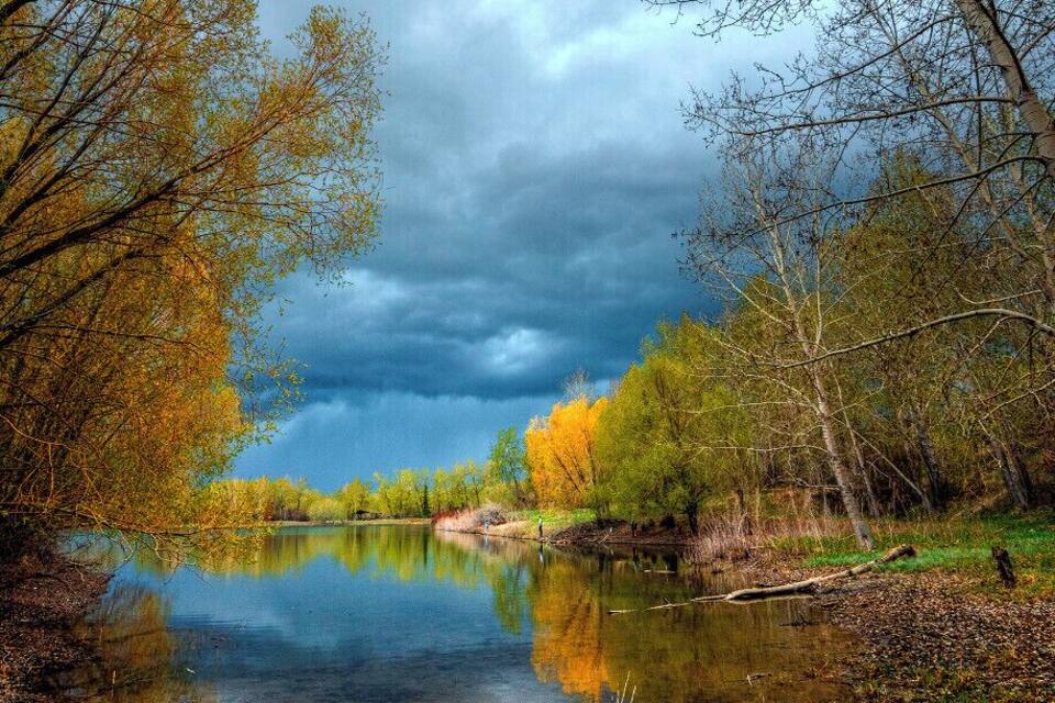 Een rustige rivier die bomen met herfstbladeren weerspiegelt, omgeven door een bewolkte lucht.