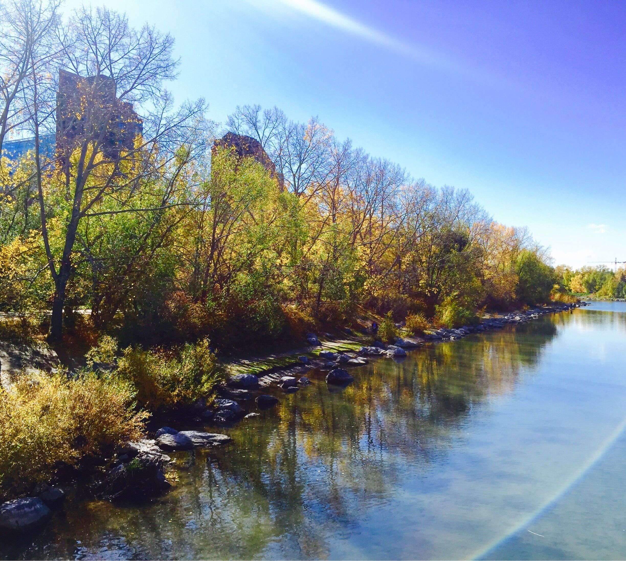 Calgary, Canada

Down by the Bow River at Prince's Island Park.