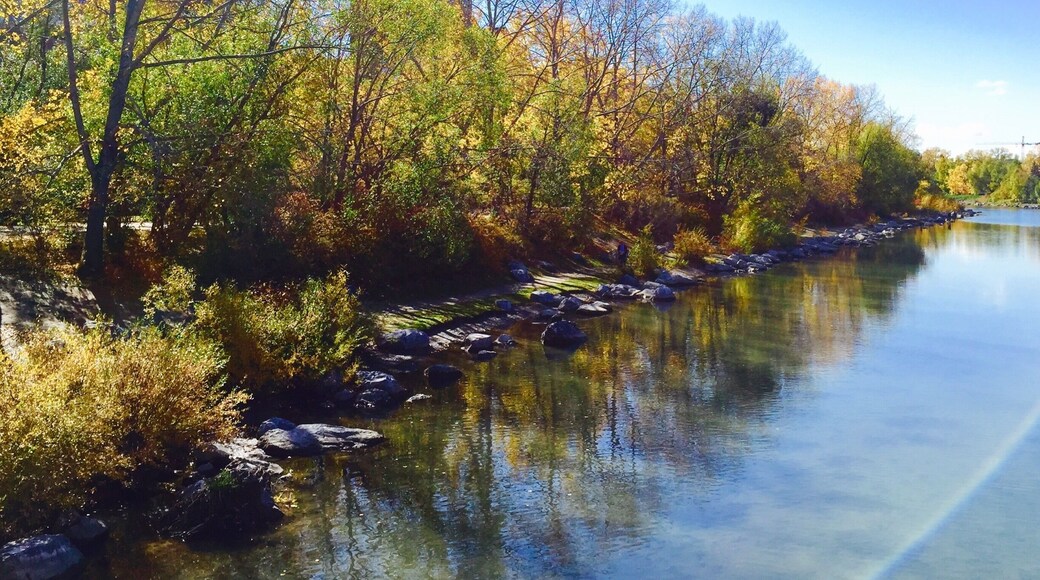Calgary, Canada
Down by the Bow River at Prince's Island Park.