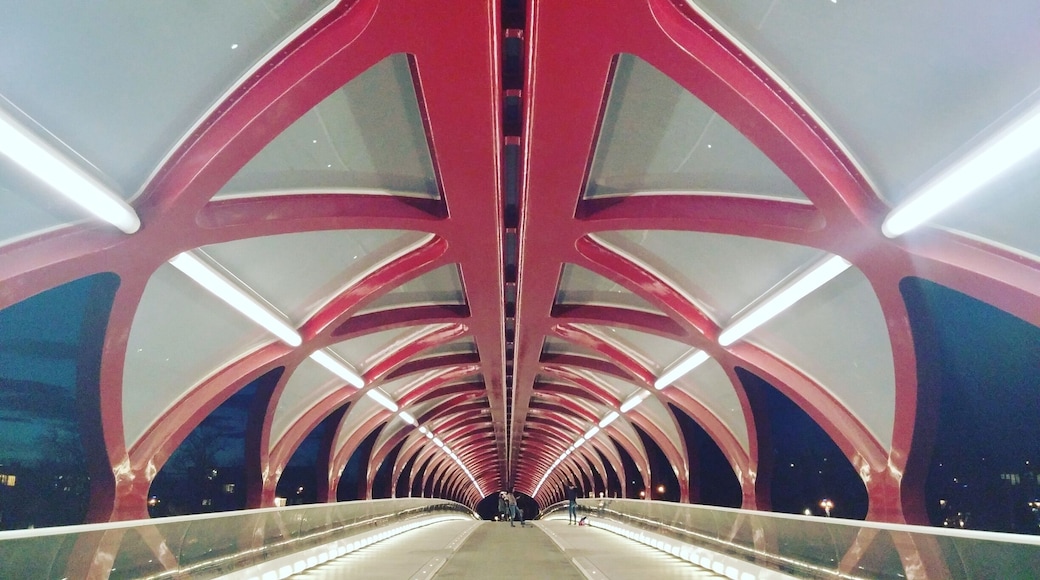 The whole reason I came here was to see this cool bridge. Yes I'm weird but when I seen photos I had to come and check it out. I just love stuff like this.