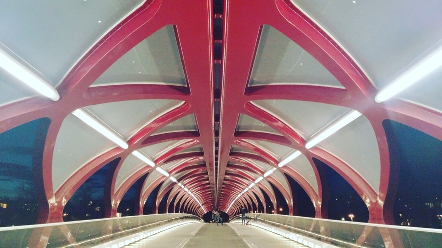 The whole reason I came here was to see this cool bridge. Yes I'm weird but when I seen photos I had to come and check it out. I just love stuff like this.
