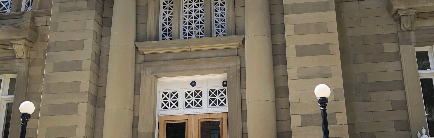 I love my local library!