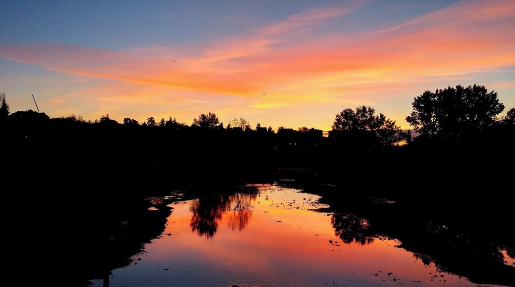 Good morning, sunshine.
#LoveMyTown