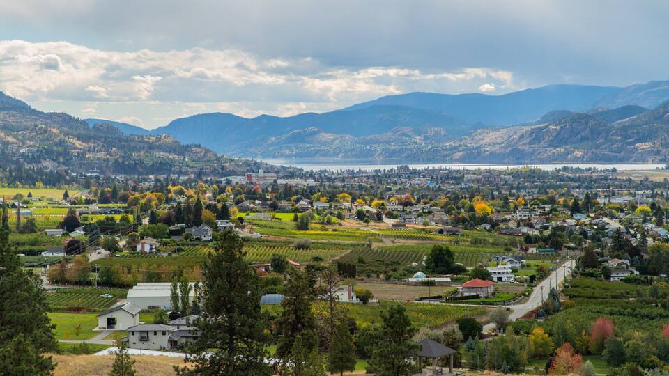 A town nestled in a valley with vineyards, a lake, and mountains in the background.
