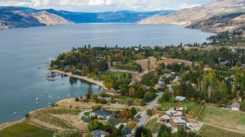 A lakeside village with houses, vineyards, and boats.