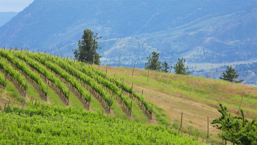 Penticton which includes farmland, tranquil scenes and landscape views
