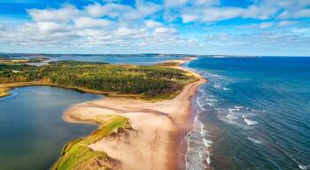 Un paysage côtier comprenant une plage de sable, une zone boisée et une étendue d’eau importante.