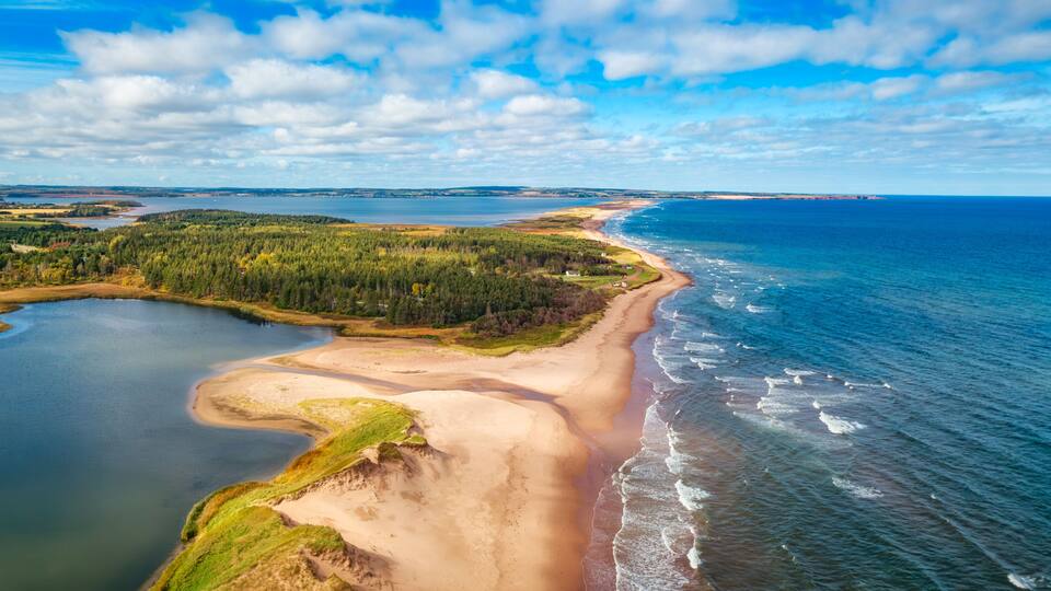 A coastal landscape with a sandy beach, a forested area, and a large body of water.
