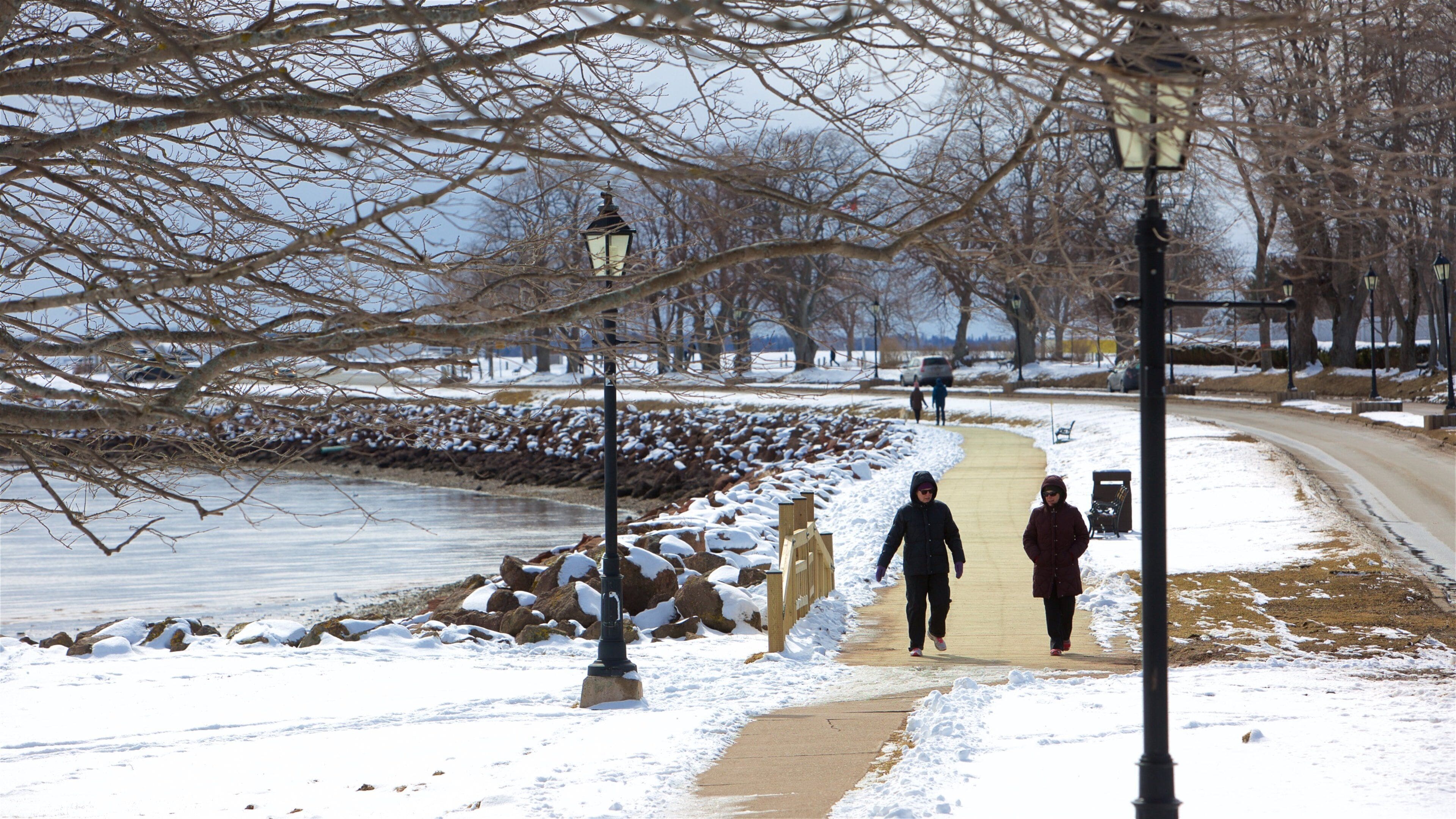 Charlottetown ofreciendo nieve y una bahía o puerto y también un pequeño grupo de personas