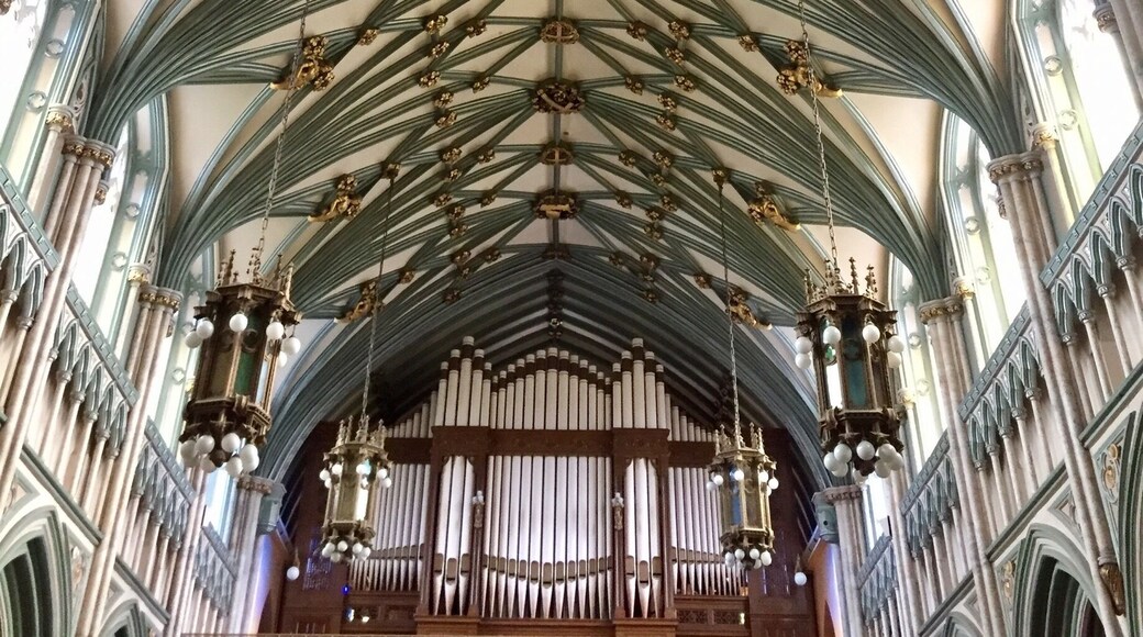 The pipe organ and ceiling of this beautiful Basilica which was constructed in 1919.