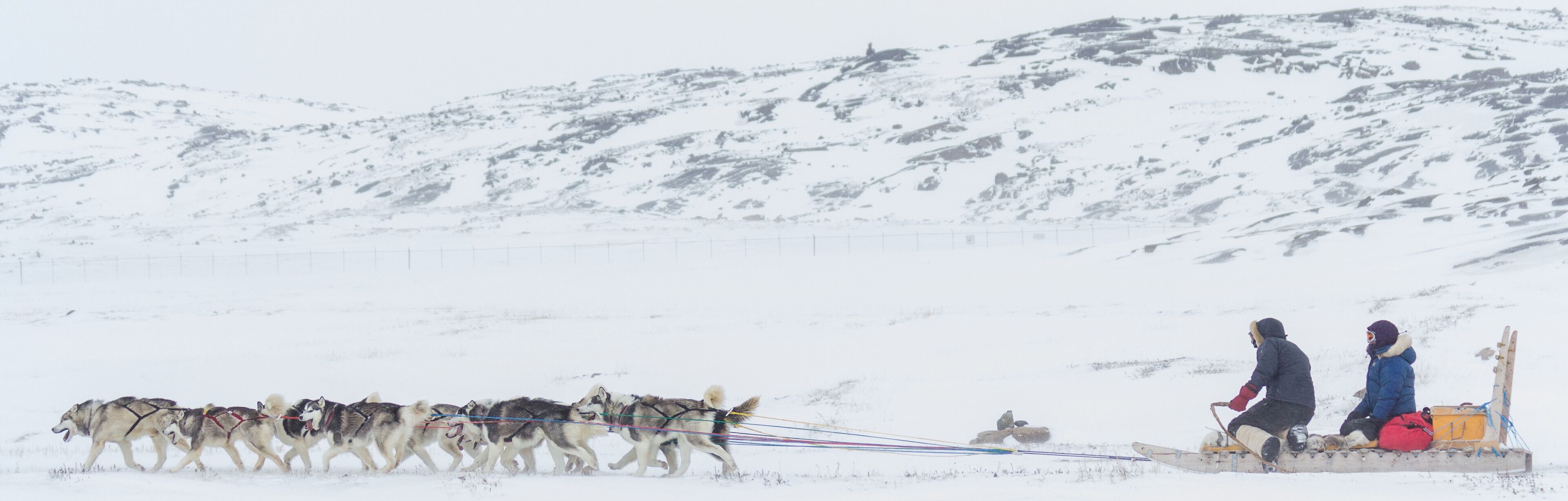 A group of sled dogs pulling a sled with two people on it in a snowy landscape.