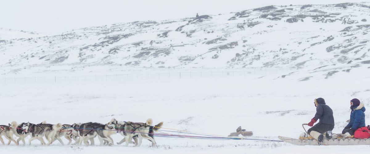 A group of sled dogs pulling a sled with two people on it in a snowy landscape.