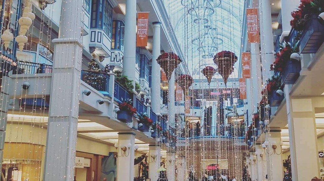 Nice place to shop. It was bigger than I thought it would be. There's about 4 floors of stores and a fitness center (goodlife). Restaurants are on the top floor and holds a lot of known brands. The mall was completely decked out with lights from head to toe. It was stunning!