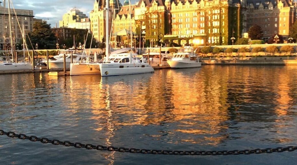 Victoria at dusk. I enlarged this picture and eliminated the chain fencing for a stellar close up!