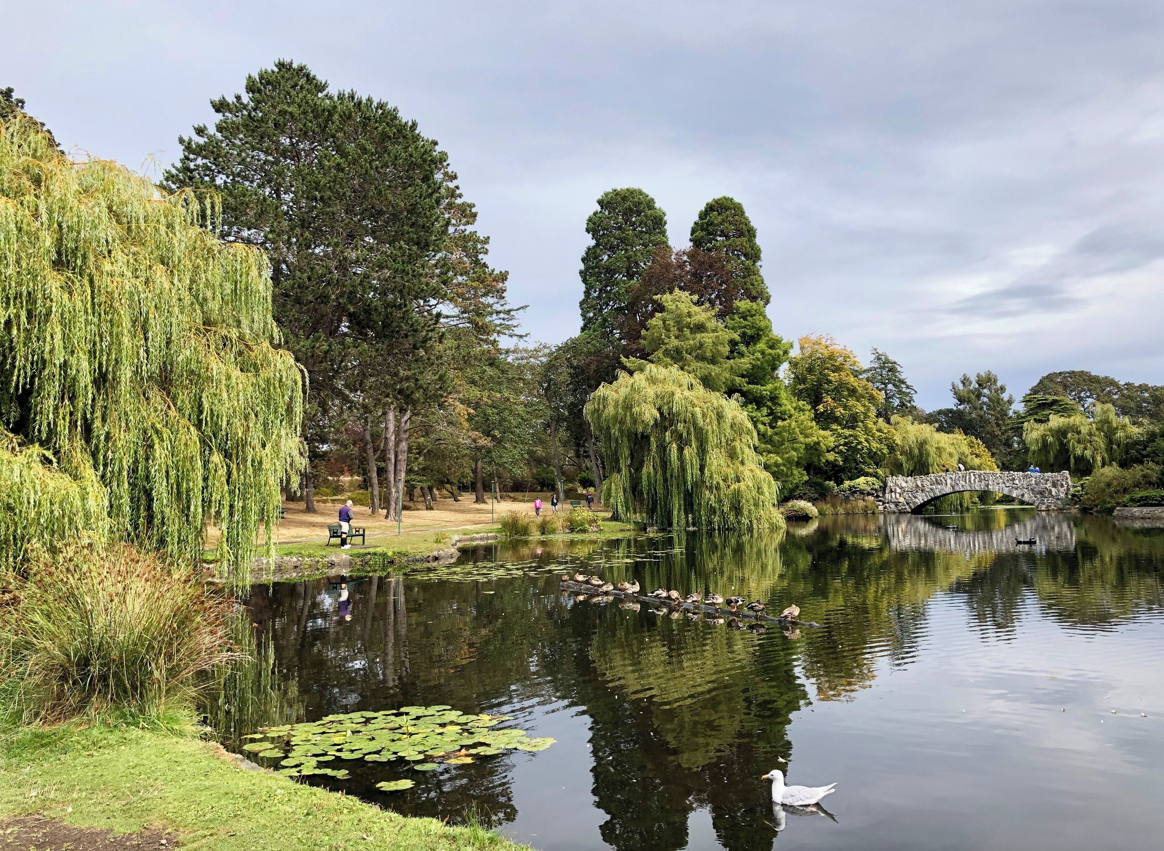 we walked around victoria, found a beautiful park "Beacon Hill Park"