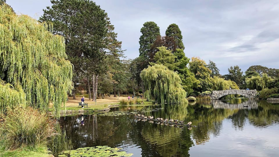 we walked around victoria, found a beautiful park "Beacon Hill Park"
