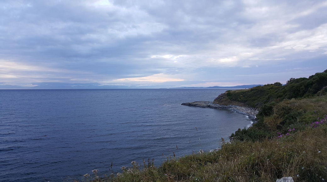 Short walk off the main road/path is Finlayson lookout point.
-2019