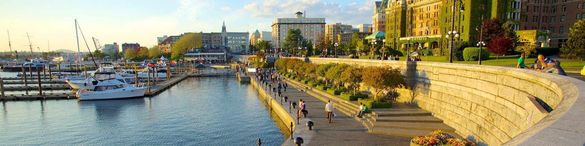 Victoria showing skyline, a coastal town and a bay or harbor