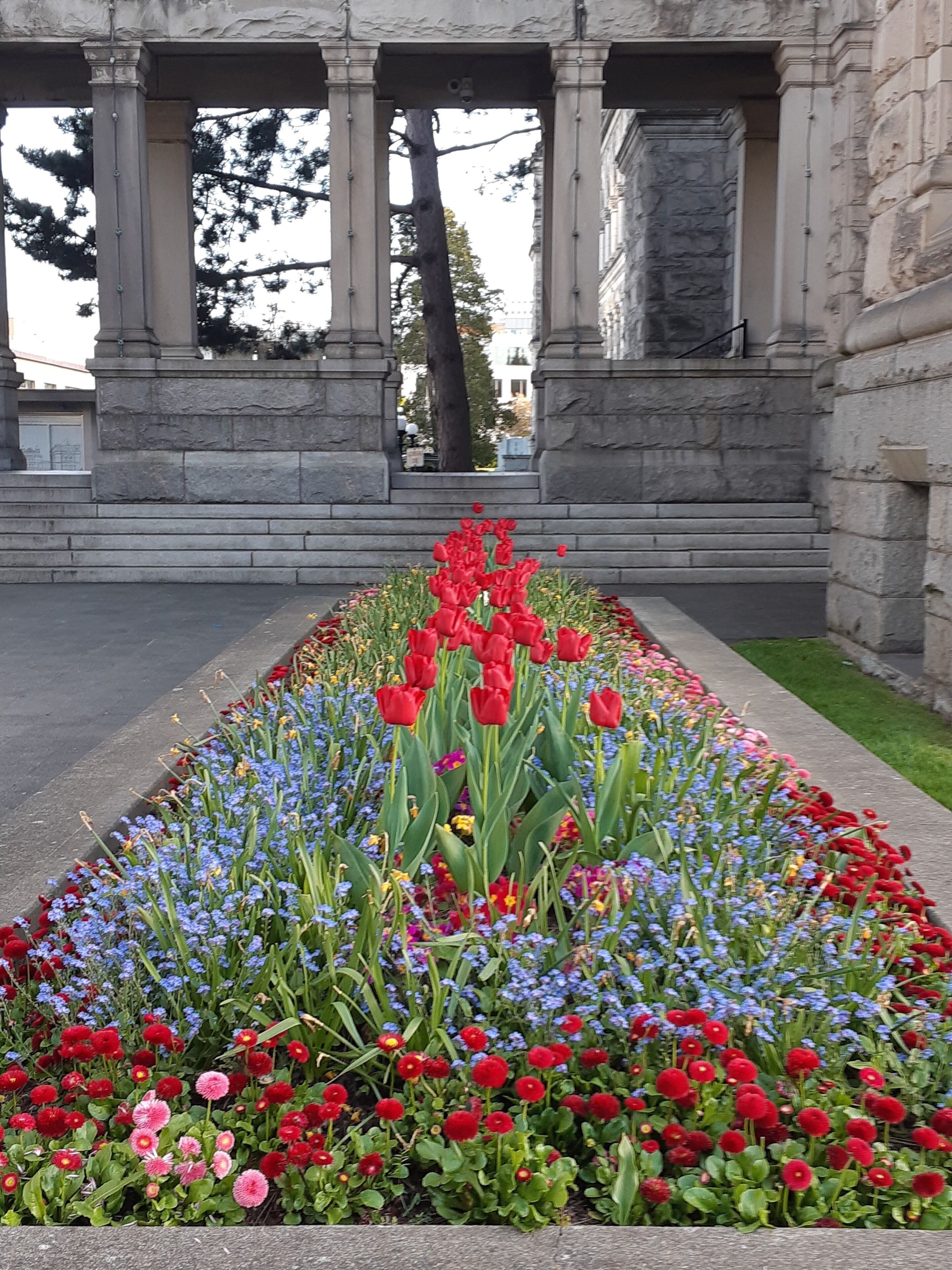Flora at the Legislature