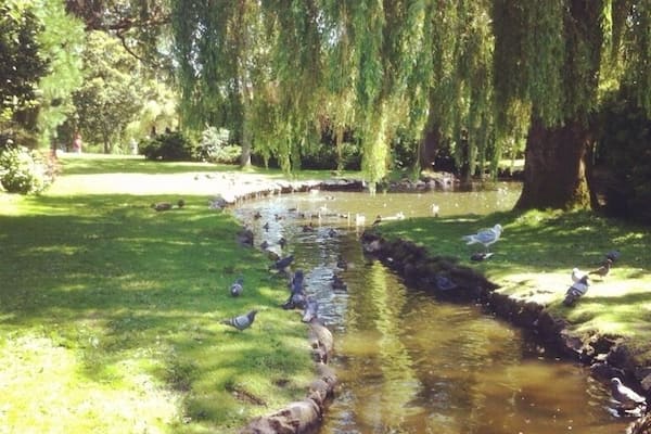Beacon Hill Park in Victoria. Right next to the petting zoo.