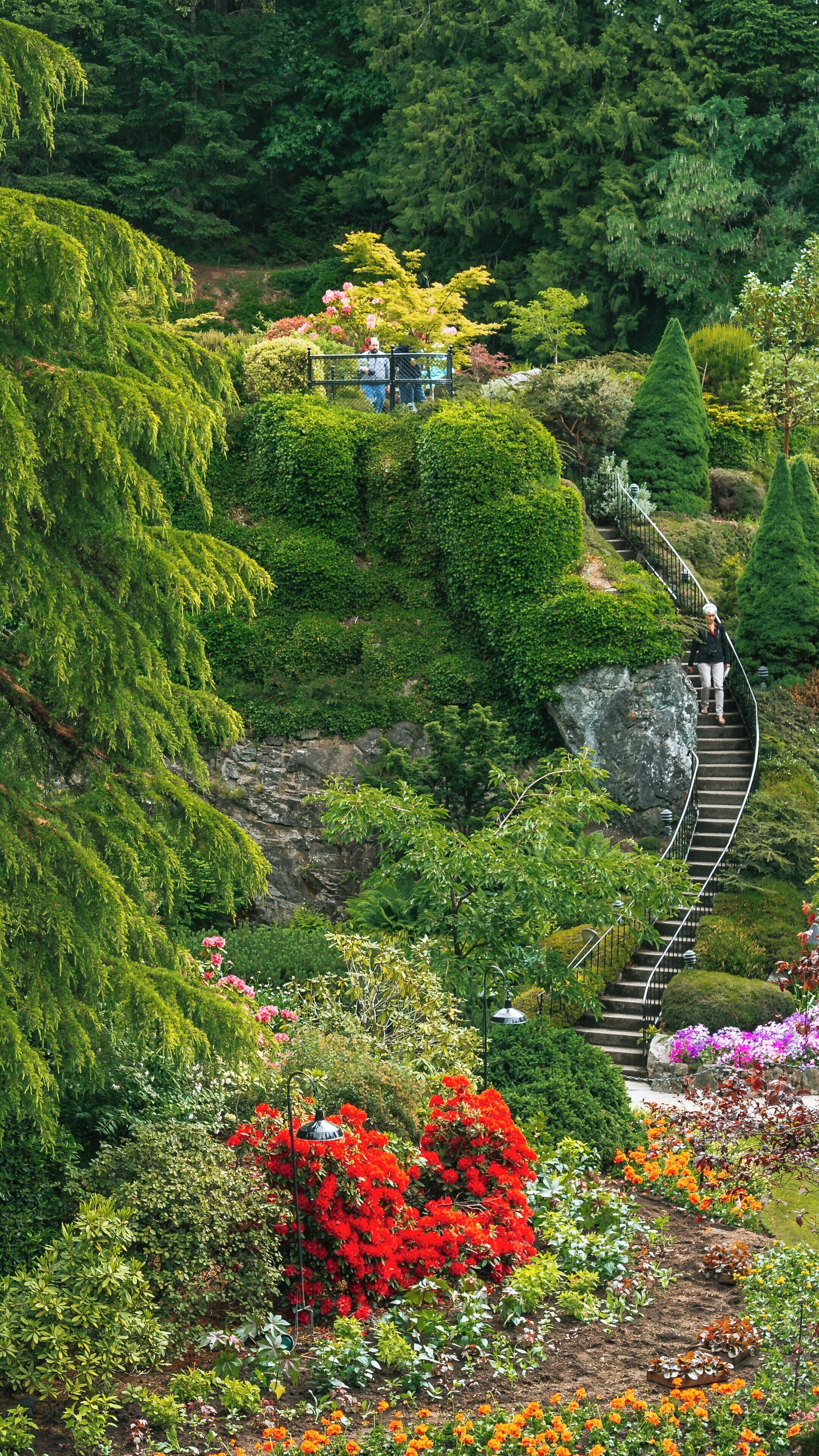 Exploring the lush pathways and vibrant blooms of Butchart Gardens in Victoria, British Columbia during the summer season