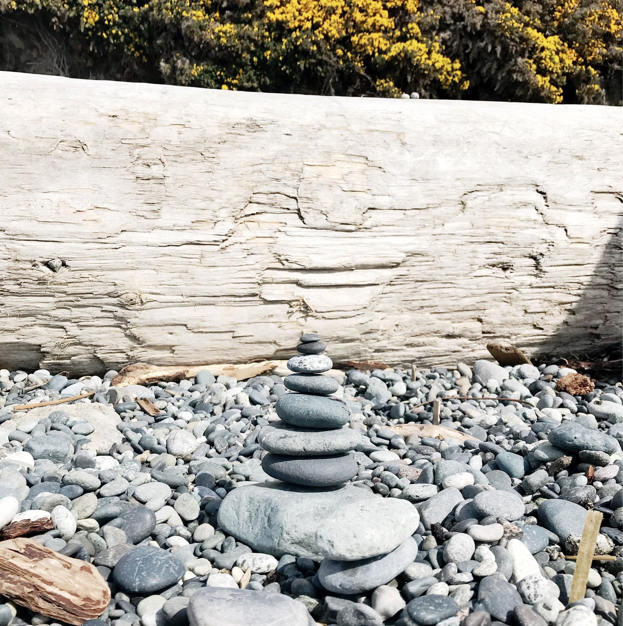 Inukchuk 
#beach #lifeatexpedia #spiralbeach #victoria #vancouver
