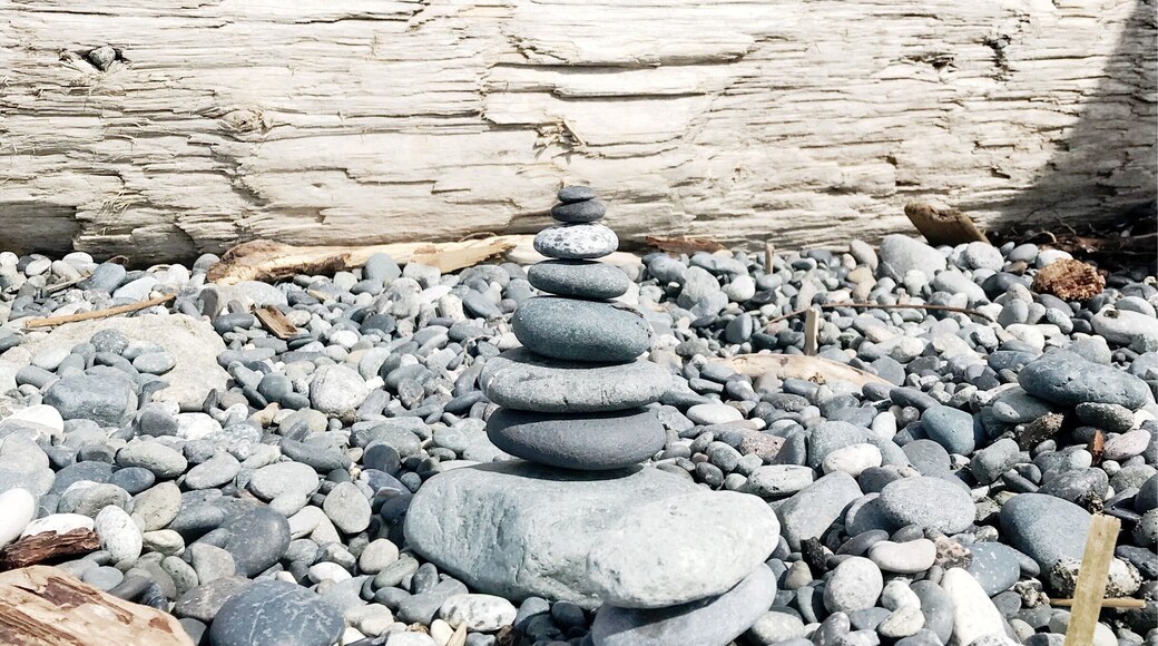 Inukchuk
#beach #lifeatexpedia #spiralbeach #victoria #vancouver