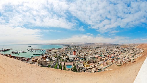 Arica