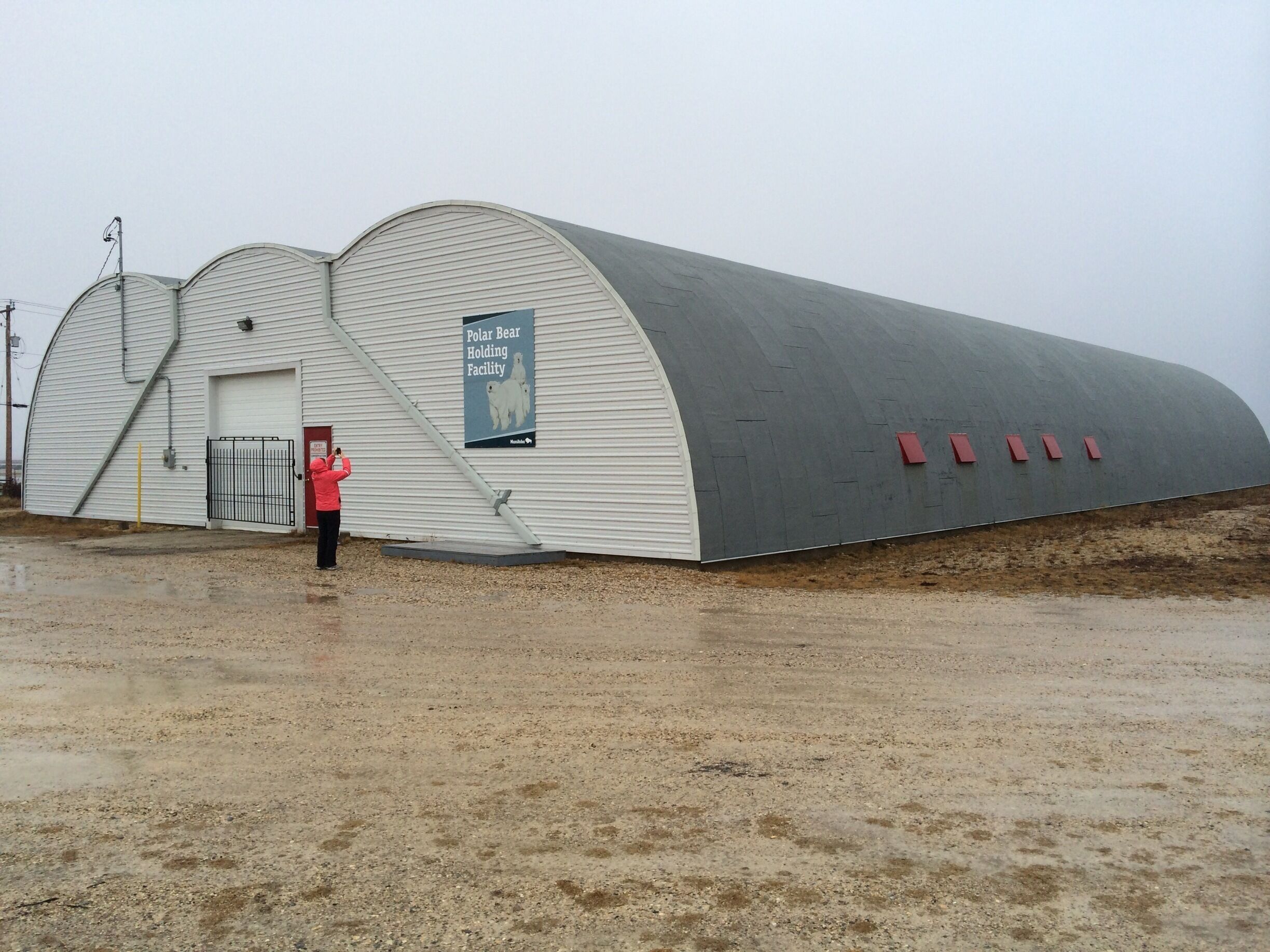 Polar Bear Jail in Churchill, Manitoba.  Bears go there when they wander in to town.  Held for 28 days and then helicoptered back out further from town.  Currently 14 bears in there!