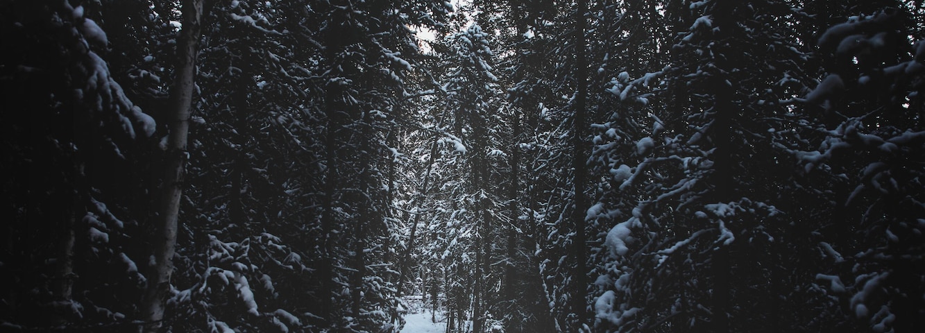 Just editing some of my old photos. Was going for a darker scary vibe.