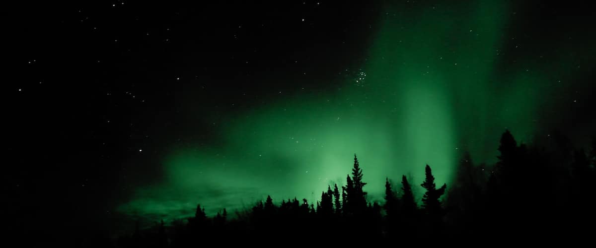 The Northern Lights over a forested landscape.