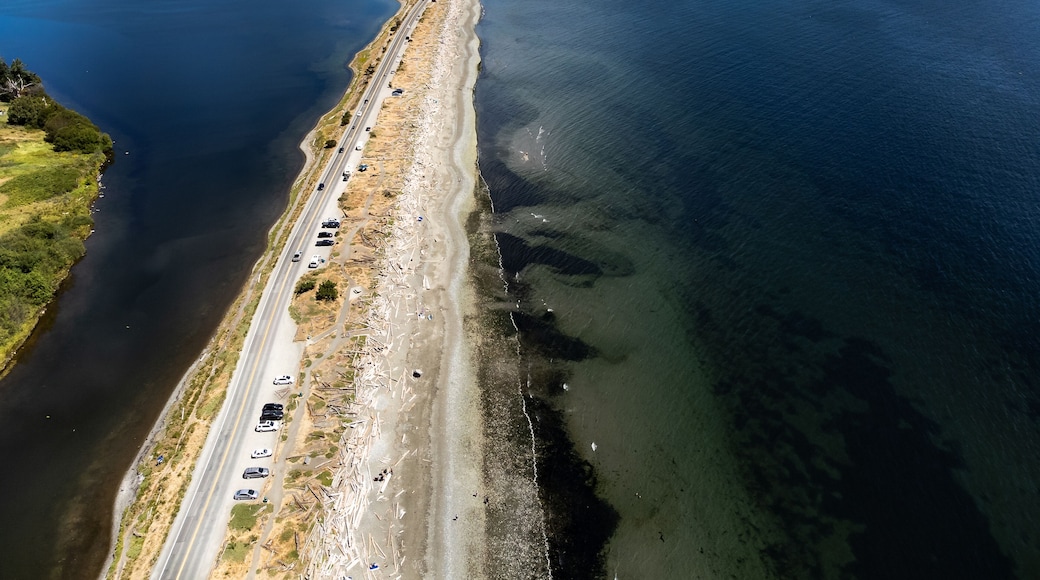 Aerial sand spit with a long straight road with people on vacation and cars parked in Victoria British Columbia Canada..