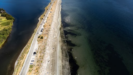 Aerial sand spit with a long straight road with people on vacation and cars parked in Victoria British Columbia Canada..