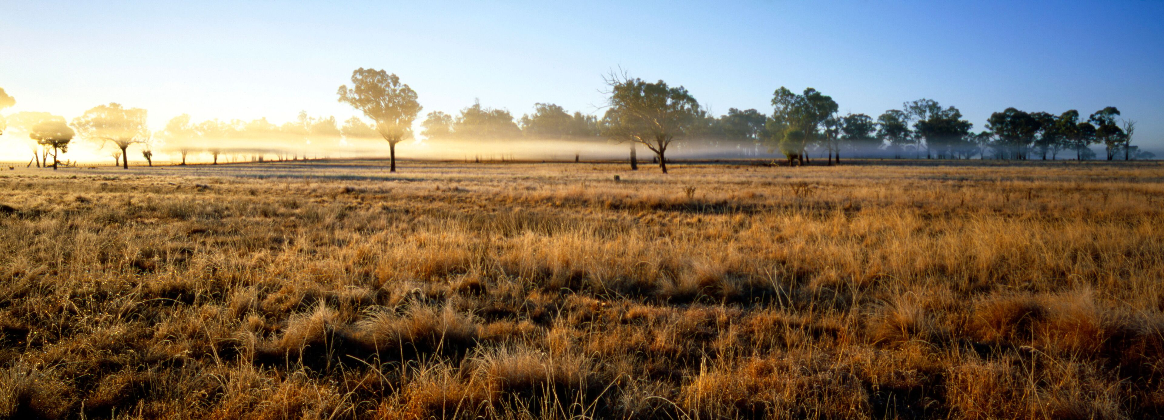 AJM3YR Frosted grass and layers of mist are hilighted by the rising sun as a new day dawns on rural pastures, Armidale NSW Australia