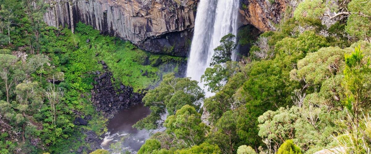 A waterfall cascading down a rocky cliff surrounded by lush green vegetation.
