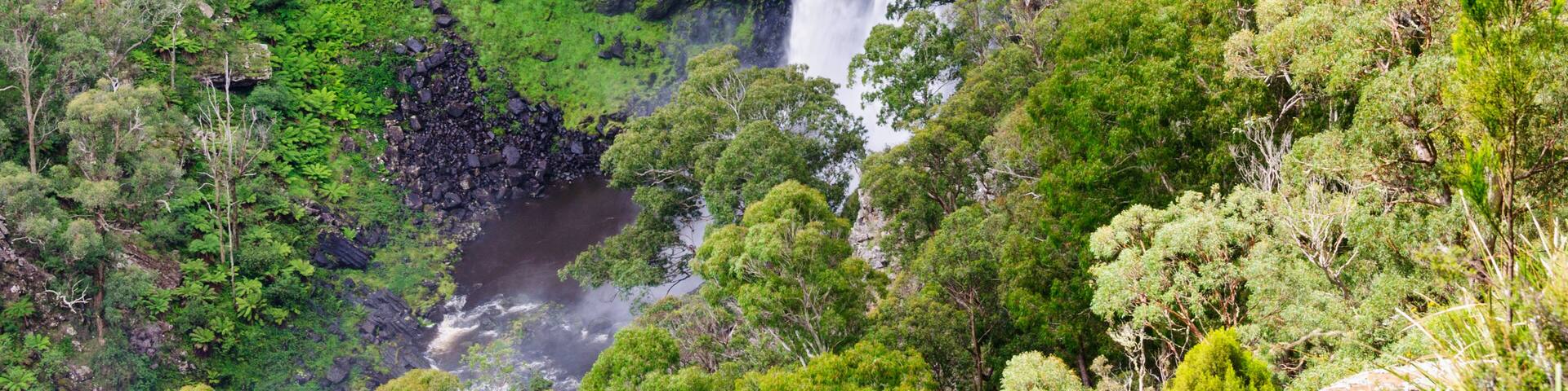 A waterfall cascading down a rocky cliff surrounded by lush green vegetation.